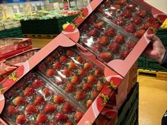 -麦德龙(十里河店)