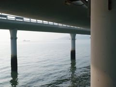 -演武大桥观景平台