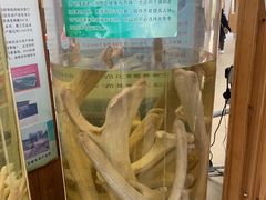 -北京鹿世界主题园