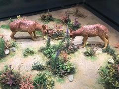 -北京麋鹿生态实验中心