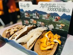 -芸山季·云南野生菌火锅(人民广场来福士店)