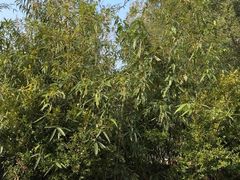 -青州市云门山风景区