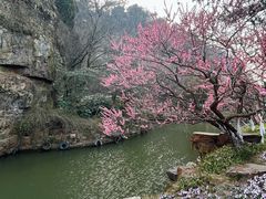 -狼山风景名胜区
