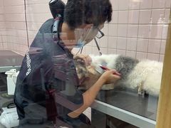 -FAELING PETS美天灵宠物(富力广场店)