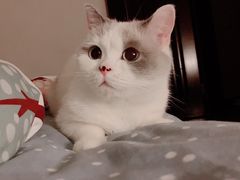 -美联众合24小时·皮肤科·外科·全科诊疗中心(华苑分院)