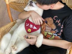 -Husky Go! 哈士奇体验馆·宠物咖啡厅狗咖