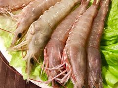 活虾-金海阁海鲜火锅