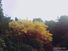 -青岛崂山太清宫
