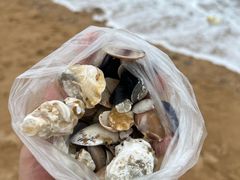 -日照灯塔风景区