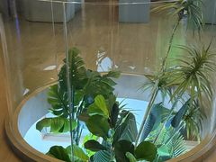 -皇室假期美食水疗会(春风路店)