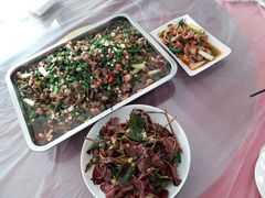 -铁山坪森林公园