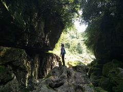-鹿院坪生态旅游景区
