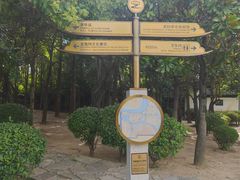 -台儿庄古城