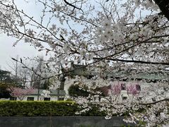 -UNIUNI(凯瑟琳广场店)