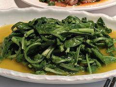 -樽宴酒楼·地道川菜·品质宴请