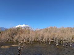 -洱海月湿地公园