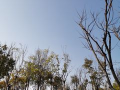 -牛岗山公园