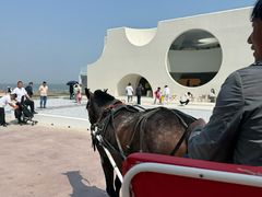 -南戴河国际娱乐中心