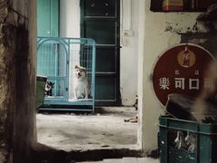 -大水的店(昙华林店)