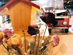 -猫的天空之城概念书店(苏州诚品店)