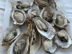 -渔民船说·北塘海鲜·天津菜·海肠捞饭(北塘古镇店)