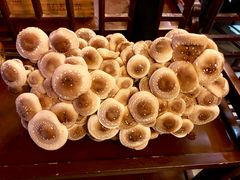 -捞神煲汤火锅(湖滨商业街店)