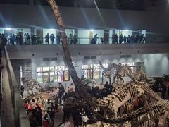 -自贡恐龙博物馆