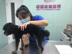 -哆趣宠物医院·眼科·内镜·急重症转诊中心(上海店)