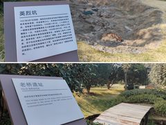 -上海市龙华烈士陵园