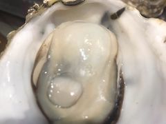 -蚝得喜海鲜(东城店)
