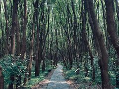 -同里国家湿地公园