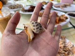 -老字号蛇口德记烧腊饭店·海鲜加工