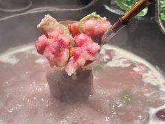 -大龙燚·旷野鲜火锅(广州首店)