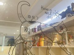 -楼上猫咖(罗湖店)
