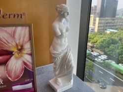 -智美品质医美