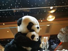 -红辣椒·川菜·火锅(张杨路店)