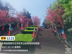 -昆明动物园