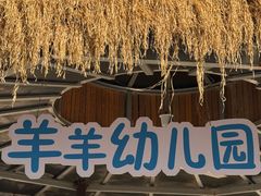 -保定市动物园