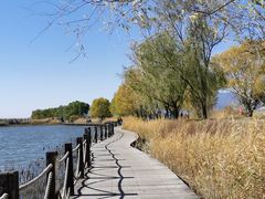 -野鸭湖国家湿地公园