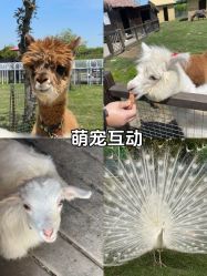 -太湖雪蚕桑文化园