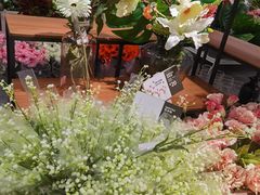 -宜家家居(哈尔滨商场店)