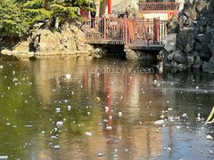 -郑和公园