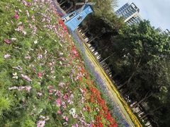 -龙凤山庄影视度假村