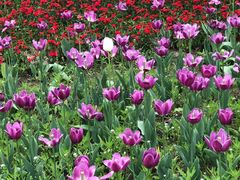 -长春公园(普阳街道)