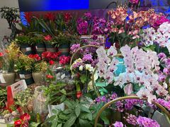 -盒马鲜生(大成店)