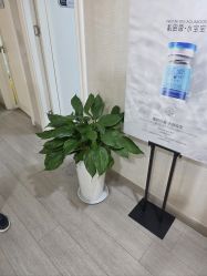 -安徽合肥韩美整形外科医院