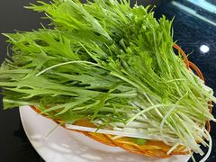 -藏味八珍特色火锅