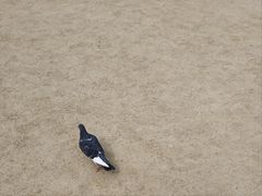 -景福宫