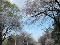 -吉林大学(南岭校区)