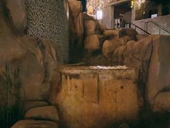 -北京乐多港万豪酒店汤乐宫温泉